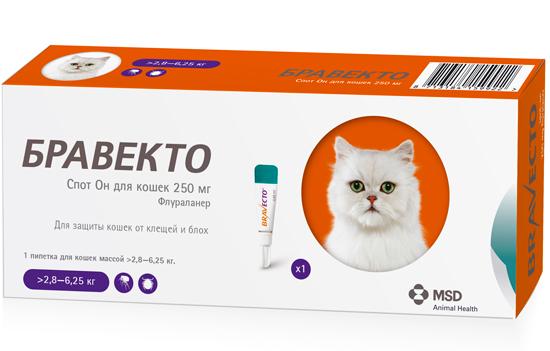 Бравекто Спот Он для кошек (>2,8 - 6,25 кг)